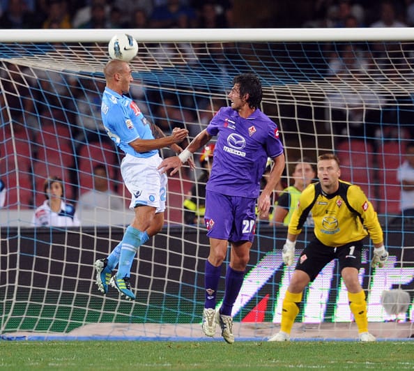 Cannavaro Fiorentina